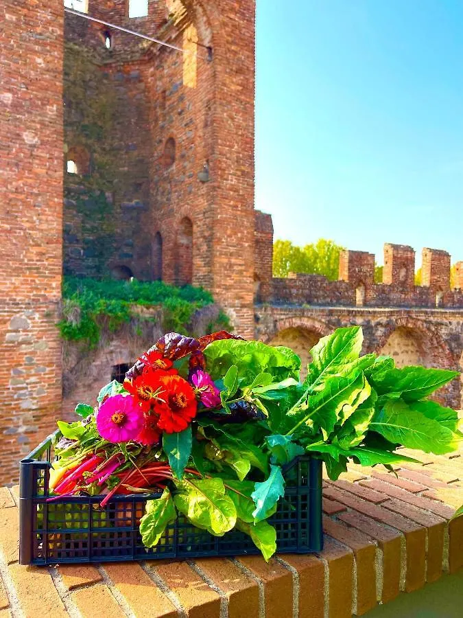 Ca' Del Sole - Attico Panoramico In Centro Storico Apartment Montagnana