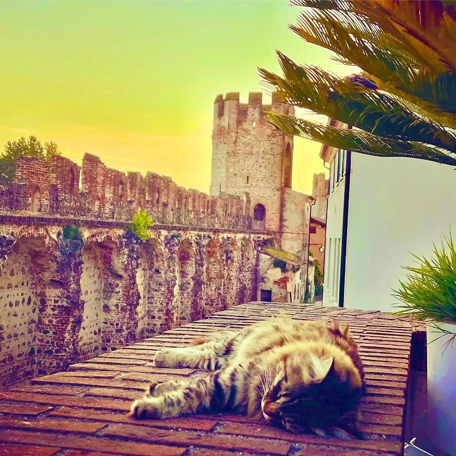 Ca' Del Sole - Attico Panoramico In Centro Storico Apartment Montagnana